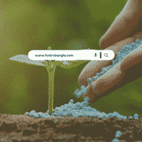 SEEDS & PLANTS