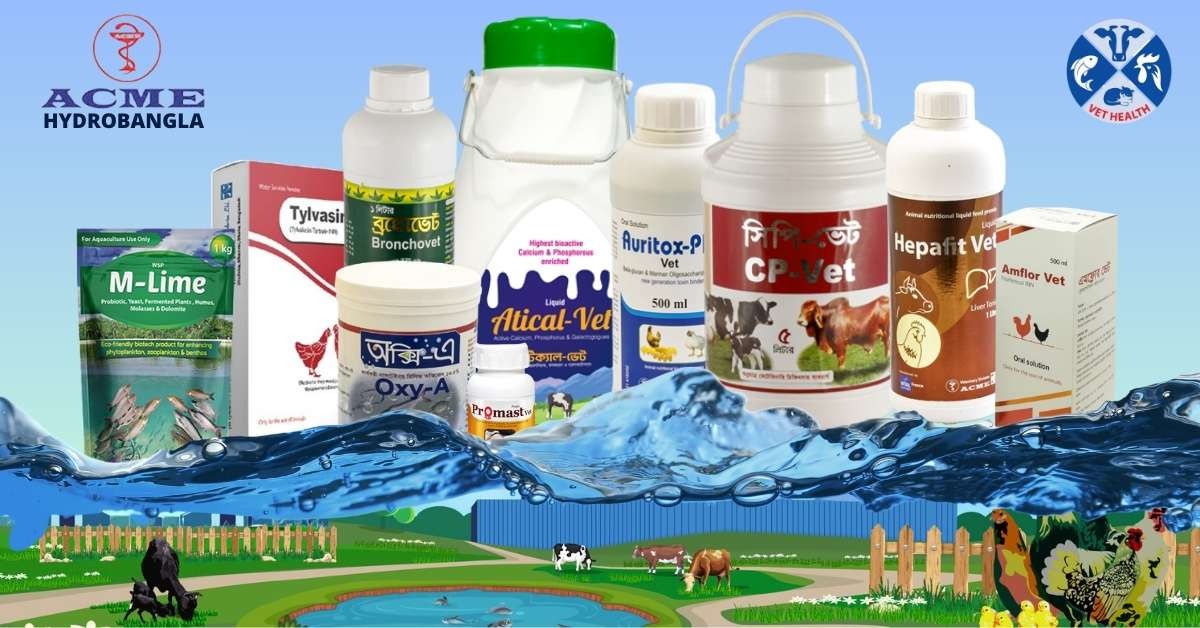 Hydrobangla promo
