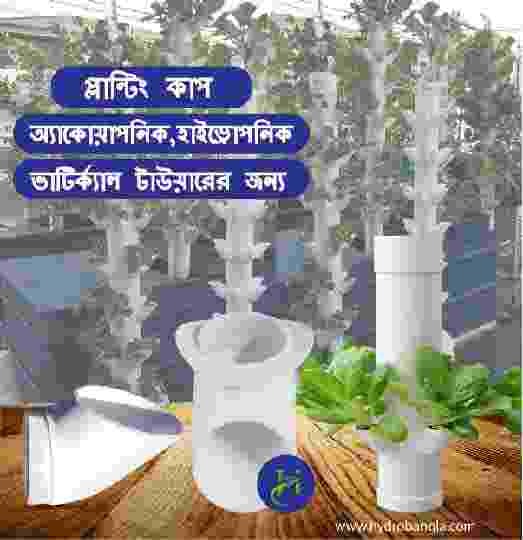Column Pipe Fixed Plant Cup Space Soilless Planting Culture for Hydroponics,Aquaponics,Greenhouse